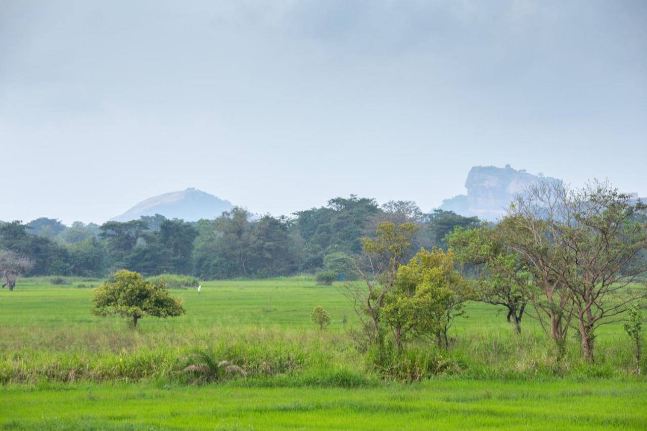 The Hideout Sigiriya Villa Buitenkant foto