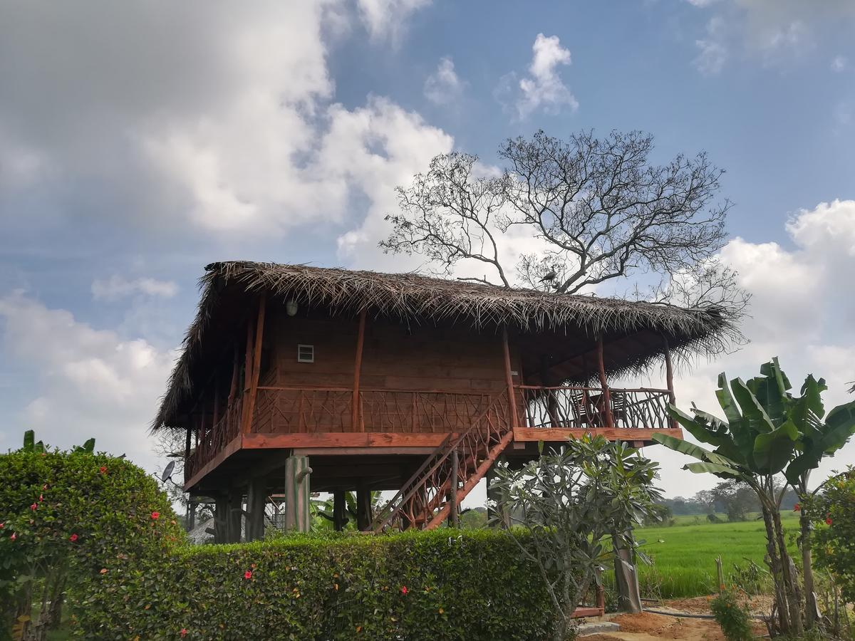 The Hideout Sigiriya Villa Buitenkant foto